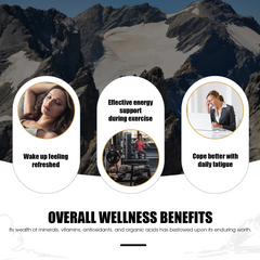 4-in-1 Shilajit Resin Supplement – 85+ Trace Minerals, Fulvic Acid, Energy & Immunity Booster for Men & Women – Himalayan Origin