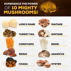 Mushroom Complex Supplement – 10x Strength Lions Mane, Turkey Tail, Reishi, Cordyceps – Brain Boost, Focus & Memory Support for Men and Women