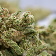 WEED - Midnight Chill